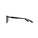 Chrome Glasses