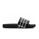 Check Slides