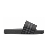 Check Slides